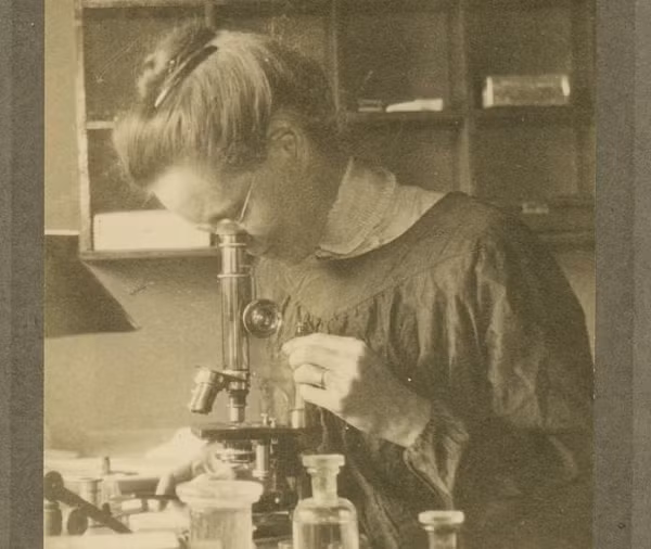 Nettie Stevens là người đầu tiên khám phá tầm quan trọng của nhiễm sắc thể Y trong việc xác định giới tính của một loài nhất định. Giới khoa học trước đó cho rằng, mẹ và các yếu tố môi trường xác định giới tính của một người.