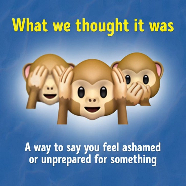 Đây là biểu tượng Ba chú khỉ thông thái, đại diện cho “3 không”: không nhìn thấy điều ác, không nghe thấy điều ác, không nói điều ác. Trong văn hóa Nhật Bản, có một hàm ý sâu xa hơn trong biểu tượng này, đó là “bịt mắt để dùng tâm mà nhìn”, “bịt tai để dùng tâm mà nghe”, “bịt miệng để dùng tâm mà nói