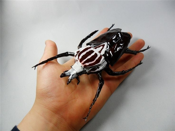 Bọ Goliath có kích thước vô cùng to lớn, con trưởng thành có thể dài đến 10cm, nặng 100 gam. Chúng được coi là những kẻ ăn chay triệt để trong thế giới tự nhiên. Tuy nhiên chúng lại là món ăn khoái khẩu cho chó và mèo.