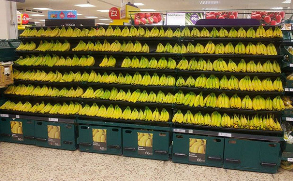 Những nải chuối được sắp xếp ngay ngắn trên kệ khiến khách hàng không nỡ lấy xuống.