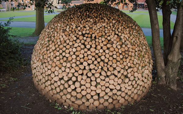 Làm cách nào để xếp được đống gỗ ngăn nắp thế này nhỉ?