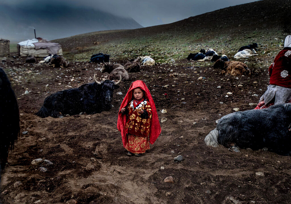 Người Kyrgyz không nghèo, mặc dù tiền giấy gần như không hề tồn tại trong cuộc sống của họ! Đàn gia súc của họ có thể chứa hàng trăng con vật nuôi có giá trị. Đơn vị tiền tệ cơ bản của người Kyrgyzstan là một con cừu.