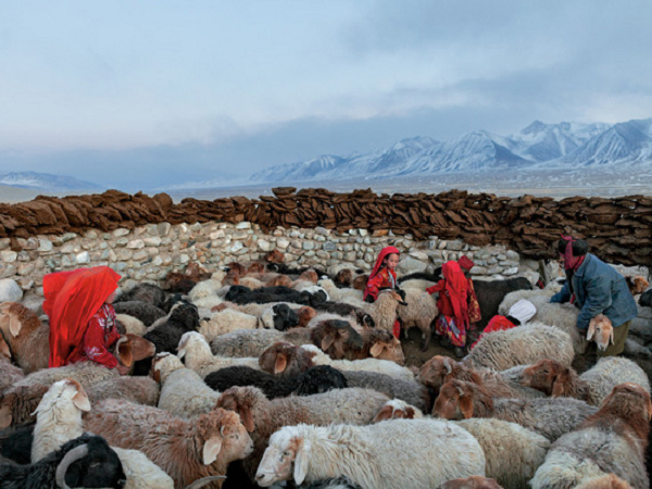 Cuộc sống trên thiên đường mặt đất này theo một cách nào đó chứa đựng sự khổ cực của một địa ngục trần gian. Thậm chí rất nhiều người Kyrgyz chưa bao giờ nhìn thấy một cái cây cao!