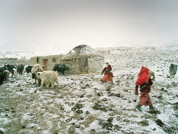 Những người chăn cừu Kyrgyzstan rất yêu thích điện thoại di động, một trong những thứ quý giá mà họ trao đổi được. Chúng sẽ được sạc bằng những tấm pin năng lượng mặt trời thường dùng cho xe hơi.