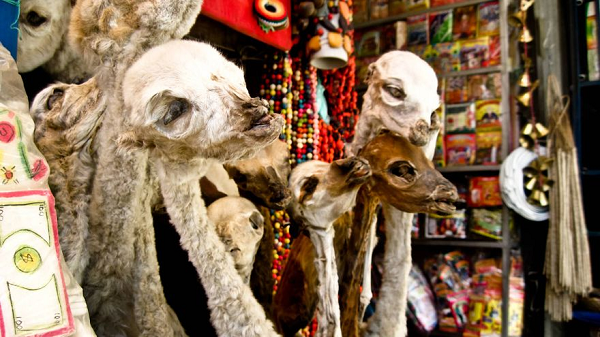 Khi gói lễ được đốt cháy rụi, chủ nhà sẽ chôn tro xuống chỗ gần nhà để hoàn tất quy trình. Khu chợ này thường mở cửa hàng ngày từ 9h30 đến 19h. Mời các bạn xem video: Khung cảnh thiên nhiên tuyệt đẹp tại các quốc gia ít dân nhất thế giới