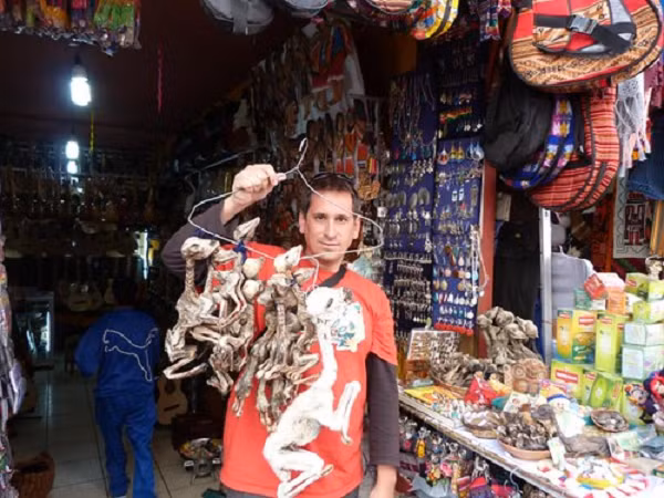 Sau đó gói tất cả lại bằng giấy trắng trước khi đun lên để làm “canh” tế thần Pachamama. Khi củi được đốt lên, những người tham gia nghi lễ hít khói và nhai lá coca để nhảy nhót cùng Đức Mẹ.