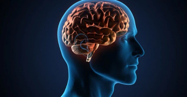 Mặc dù chúng ta không thể khẳng định rằng thiền đã giúp Steve Jobs có khả năng sáng tạo vượt bậc, nhưng ở một khía cạnh nào đó nó đã giúp ông loại bỏ những tác động xấu, có một cuộc sống tốt và một bộ não minh mẫn hơn.