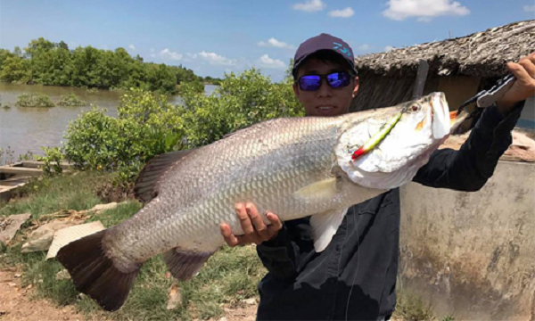 Cá chẽm có thân hình thon dài và dẹp bên, cuống đuôi khuyết sâu. Đầu nhọn, nhìn bên cho thấy phía trên hơi lõm xuống ở giữa và hơi lồi ở lưng. Miệng rộng và hơi so le, hàm trên kéo dài đến phía dưới sau hốc mắt.