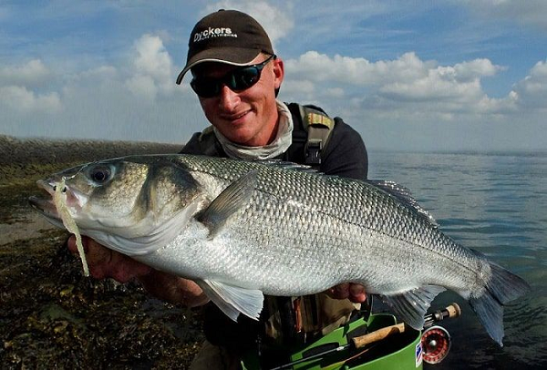 Cá chẽm đẻ trứng theo chu kỳ trăng (thường vào lúc khởi đầu của tuần trăng hay lúc trăng tròn) vào buổi tối (6-8 giờ) và thường cá đẻ đồng thời với thủy triều lên.