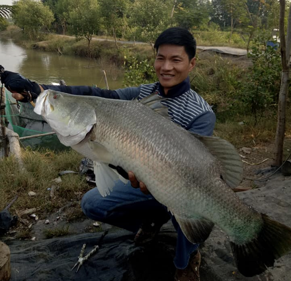 Cá chẽm trải qua phần lớn thời gian sinh trưởng (2-3 năm) trong các thủy vực nước ngọt như: sông, hồ nơi nối liền với biển. Cá có tốc độ tăng trưởng nhanh, thường đạt cỡ 3-5 kg sau 2-3 năm.