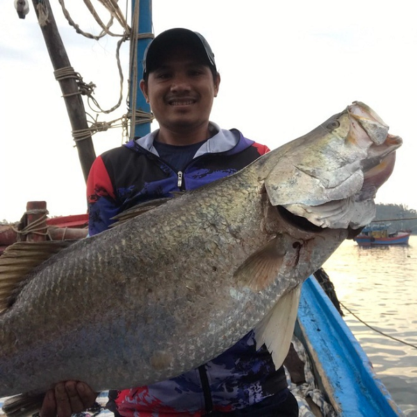 Người câu được con cá chẽm nặng 14kg, dài 1m là anh Phạm Quốc Ánh ở xã Tịnh Kỳ, TP Quảng Ngãi. Anh cho biết, bản thân mất 30 phút mới đưa được con cá lên thuyền.