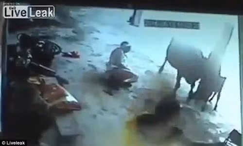 Thot tim canh bo tan cong 