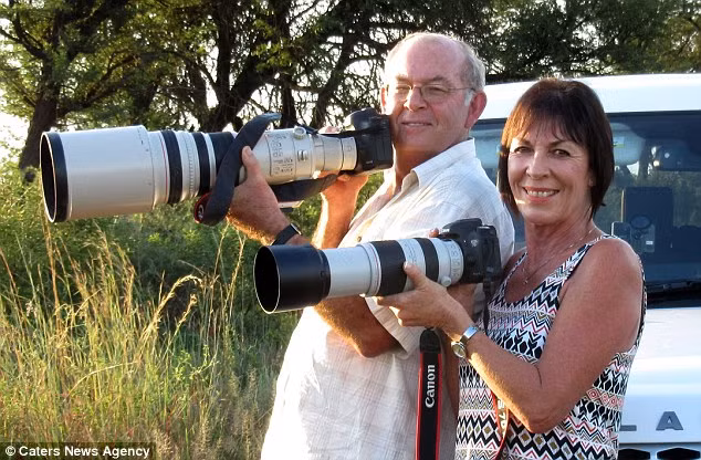 Vợ chồng ông bà Peet và Lynn van Heerden dừng xe ven đường để chụp ảnh hai con tê giác đang đánh nhau. (Nguồn: Daily Mail)