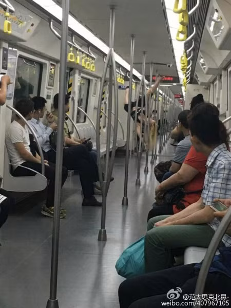 Các nhà quản lý hệ thống tàu điện ngầm Thiên Tân đã đề nghị hành khách không nên có những hành động như của cô gái này vì có thể làm ảnh hưởng tới họ và nhữn người khác.