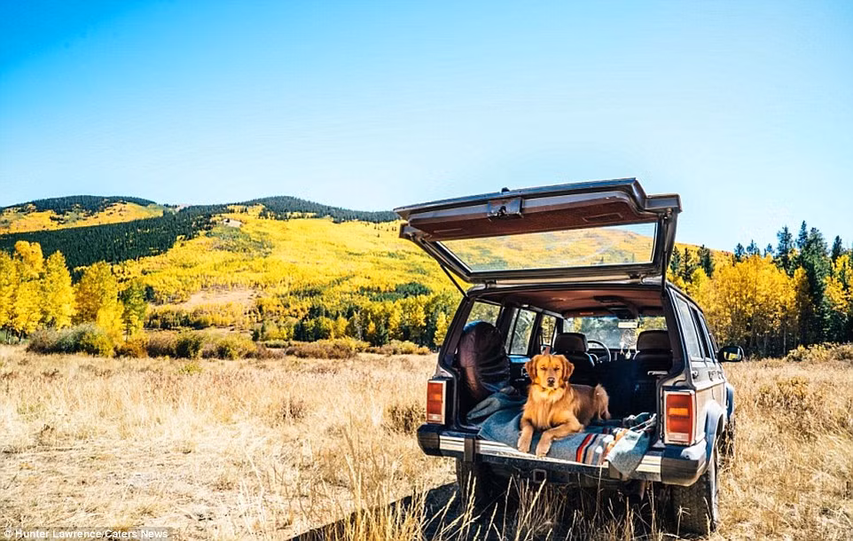 Chú chó Aspen tận hưởng không khí trong lành trong chuyến du lịch tới Denver, bang Colorado, Mỹ.