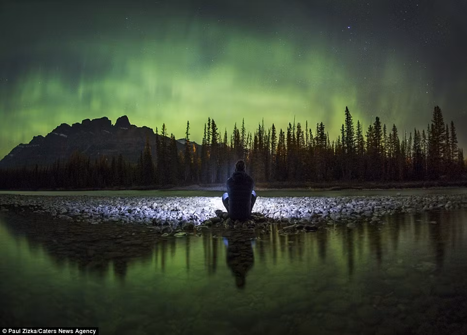 Zizka ngắm cảnh bắc cực quang từ núi Castle, tỉnh Alberta, Canada.