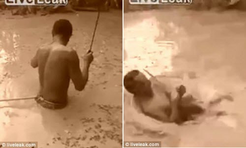 Hãi hùng ngư dân suýt chết vì làm mồi nhử lươn điện Hai hung ngu dan suyt chet vi lam moi nhu luon dien