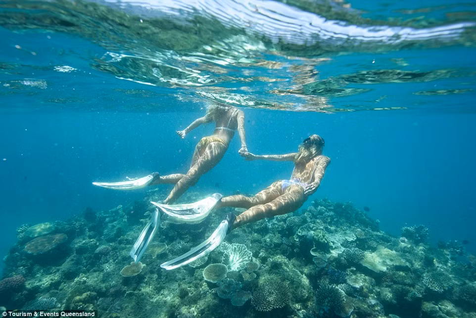 Lauren Bullen, 22 tuổi, cùng em gái sinh đôi Ellie chụp ảnh lặn dưới biển ở bang Queensland, Australia. Ảnh: Instagram/Dailymail.