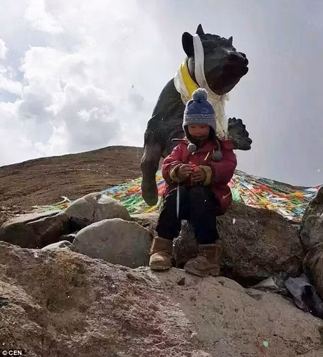 Mặc dù Liuyi đã đu tuổi học mầm non, ông Qi muốn con gái mình có thêm một năm trải nghiệm cuộc sống thực tế ở khắp Trung Quốc.