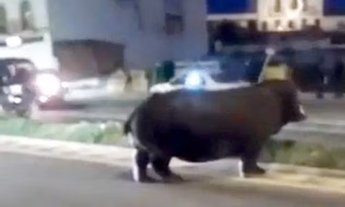 Soc nang ha ma khong lo lang thang tren pho