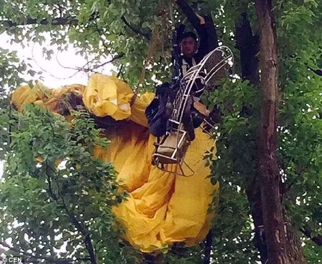 Chàng trai bị mắc kẹt trên cây suốt 1 giờ trong khi chờ người tới trợ giúp.