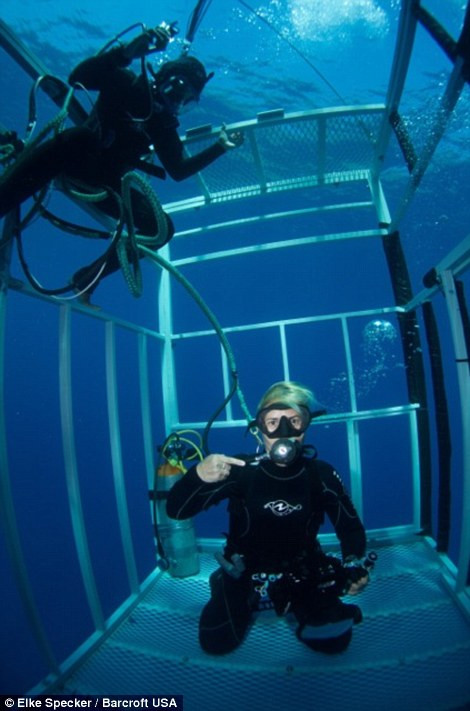 Specker và một đồng nghiệp khác ở trong lồng bảo vệ.