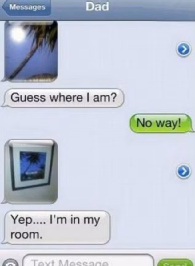 Bố nhắn tin lừa con là đang đi du lịch khi chụp bức ảnh cây cọ trong phòng ngủ của mình.