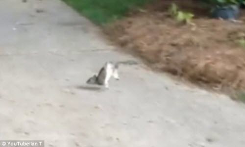 Ngo nghinh canh soc di bang tu the “trong cay chuoi”