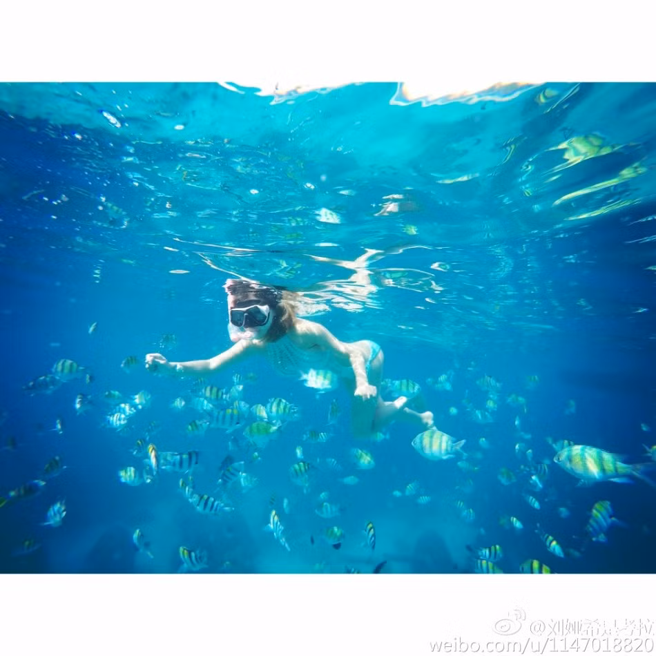 Nữ sinh 9X sexy lặn dưới biển vui đùa cùng cá.