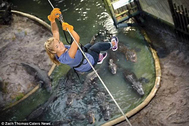 Không chỉ nam giới, nhiều phụ nữ cũng muốn trải nghiệm cảm giác vừa đu dây vừa ngắm cá sấu.