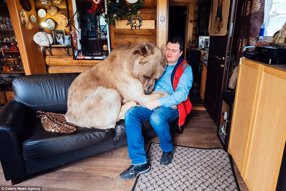 Món ăn ưa thích của Stepan là một hộp sữa đặc vì chú rất hảo ngọt. Ngoài ra, nó cũng ăn khoảng 25 kg cá, trứng và rau hàng ngày. (Nguồn: Daily Mail)