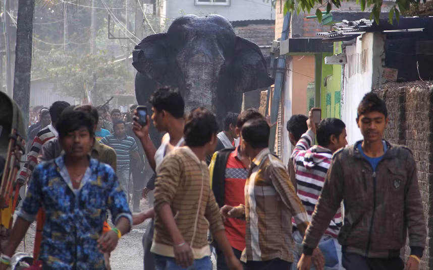 Voi hoang dã truy đuổi người dân trên đường phố ở thị trấn Siliguri, Ấn Độ.