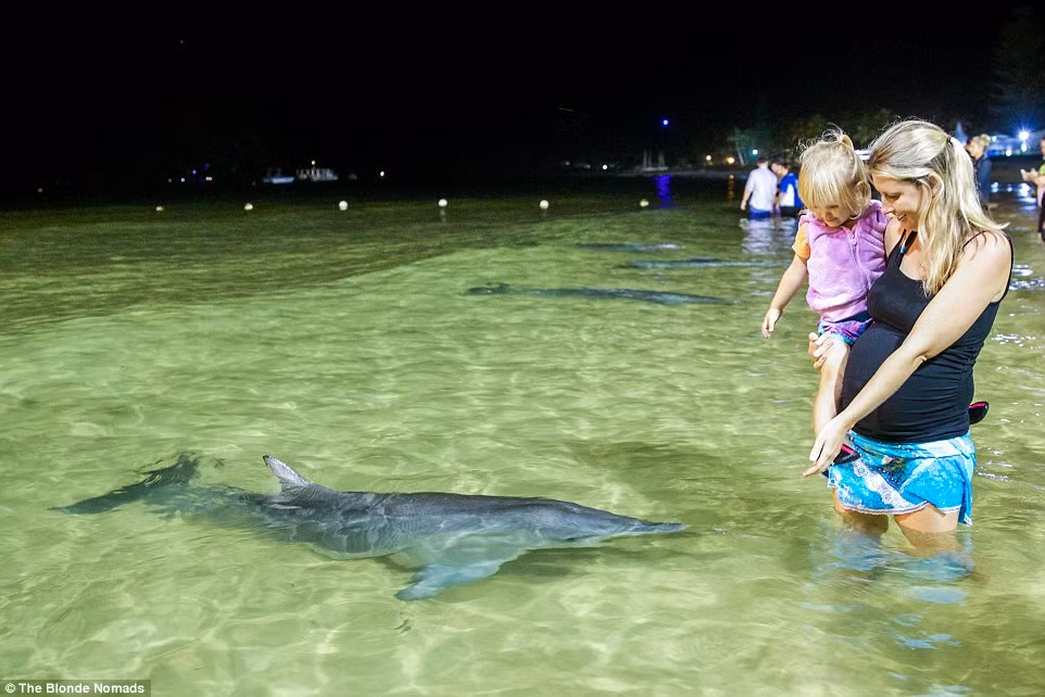 Khám phá thiên nhiên là một phần giáo dục của gia đình Morris.