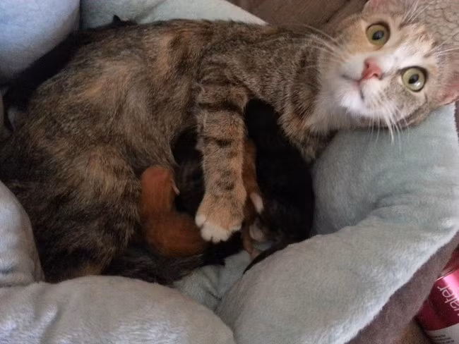 “Không thể tin nổi những gì mình vừa trải qua”.