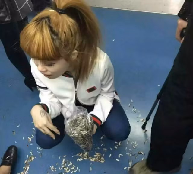 Gai tre can huong duong xa rac tren tau dien gay phan no-Hinh-2