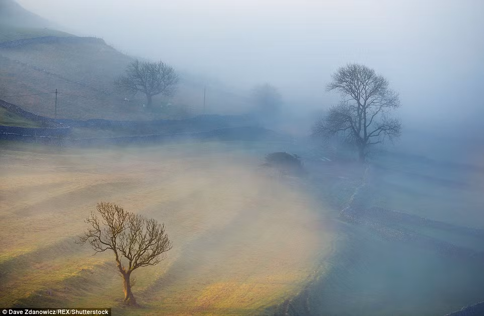 Sương sớm bao phủ sười đồi tại vùng Malham, Yorkshire. (Nguồn: Daily Mail)
