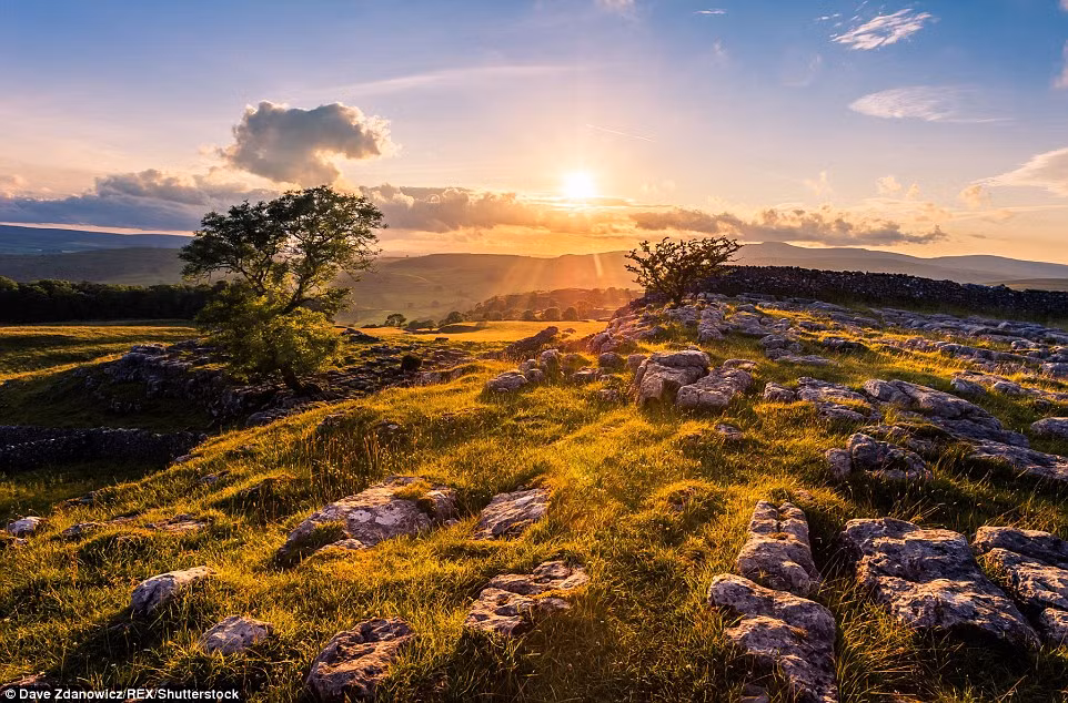 Những khối đá nhấp nhô trên thảm cỏ xanh tạo nên khung cảnh ngoạn mục khó tả. (Nguồn: Daily Mail)