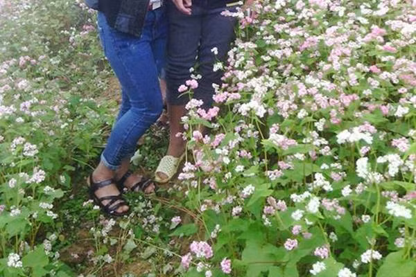 Không ít những câu chuyện, những hình ảnh các bạn trẻ nằm lên hoa, chen chúc giẫm đạp rồi ngắt hoa được chia sẻ trên mạng xã hội trước đây khiến người ta phải ngán ngẩm, thở dài.