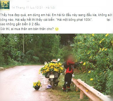 Hay như hình ảnh một nam phượt thủ hái đầy một xe hoa dã quỳ khi đi qua cung đường A Pa Chải với lý do "thích nên hái về chơi" cũng là một ví dụ cho hành động "vừa đi khám, vừa đi phá" của không ít các bạn trẻ ngày nay. Chỉ vì mục đích cá nhân mà những người này bất chấp việc có thể gây ảnh hưởng đến cảnh quan, những người đến sau sẽ không còn cơ hội để chiêm ngưỡng cảnh đẹp nữa.