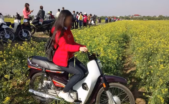Trong bức ảnh này, cô gái mặc áo đỏ đậu xe giữa vựa hoa cải vàng ươm, tay cầm một bó nhỏ và say sưa chụp ảnh, tự sướng, trong khi vựa hoa chỉ có một lối đi duy nhất ở giữa. Do bánh xe đã làm đổ rạp cả một vạt hoa nên hành động mang xe vào bên trong của cô gái trẻ bị cho là mang tính chất phá hoại, " vùi hoa dập liễu" làm ảnh hưởng đến tài sản của những người dân trồng hoa. Chưa rõ thực hư câu chuyện và nhân vật chính tuy chưa lộ mặt nhưng đã trở thành nhân vật gây nhiều thị phi nhất vài ngày qua, bị vô số cư dân mạng chỉ trích, chửi bới. Ảnh: Beat.