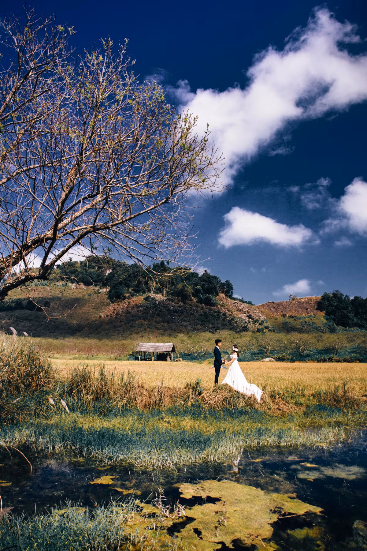 Cảm nhận của hai người trong chuyến đi bất ngờ này là phong cảnh tuyệt đẹp của cao nguyên Mộc Châu với cánh đồng hoa cúc tím nên thơ, không khí mát mẻ, hùng vĩ của Tây Bắc.