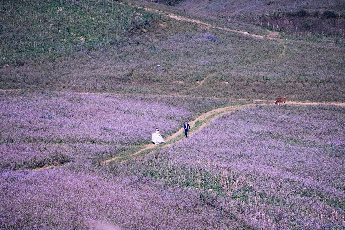Vì lý do đó mà ban đầu Nhi dự định lên Sài Gòn học còn Minh chuyển đến một thành phố khác... nhưng rồi vì tình yêu, Minh lại thay đổi quyết định đăng ký học chung trường với Nhi để có thêm cơ hội gần gũi cô nàng. Ngày hai người nhập học cũng là lúc công khai yêu đương.