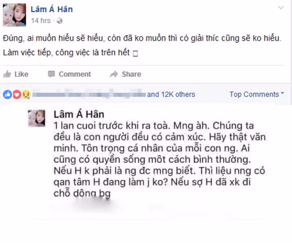 Gây ra quá nhiều đồn đoán, thậm chí đã bị chỉ trích là "dùng thủ đoạn để dắt mũi người khác", Lâm Á Hân mới đây đã đăng status đầy ẩn ý. Cô cho rằng chỉ những người hiểu mình mới có thể nắm bắt được sự thật sau hành động đi xem phim cùng Phạm Hồng Hải vừa qua, còn những người cố tình không hiểu cô cũng không muốn cố gắng giải thích. Vừa "nói cứng" là vậy, nhưng trong phần trả lời bình luận bên dưới, Á Hân đã lại phân trần, tiết lộ rằng trước trước khi ly dị cô muốn đi xem phim cùng chồng một lần cuối và cho rằng "là người ai cũng có cảm xúc" và mong muốn được người khác tôn trọng những điều thuộc về cá nhân mình.