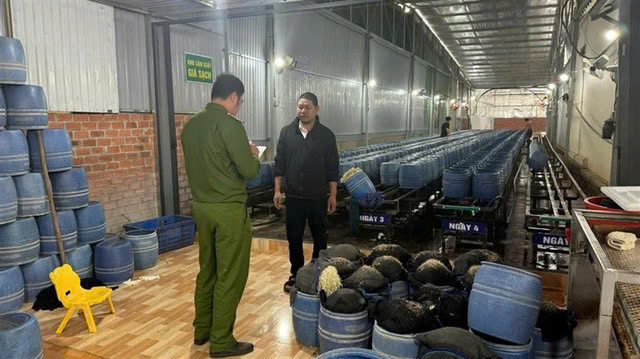 UBND tỉnh Đắk Lắk chỉ đạo “nóng” vụ giá đỗ ngâm chất cấm - Hình 2 UBND tinh Dak Lak chi dao “nong” vu gia do ngam chat cam-Hinh-2