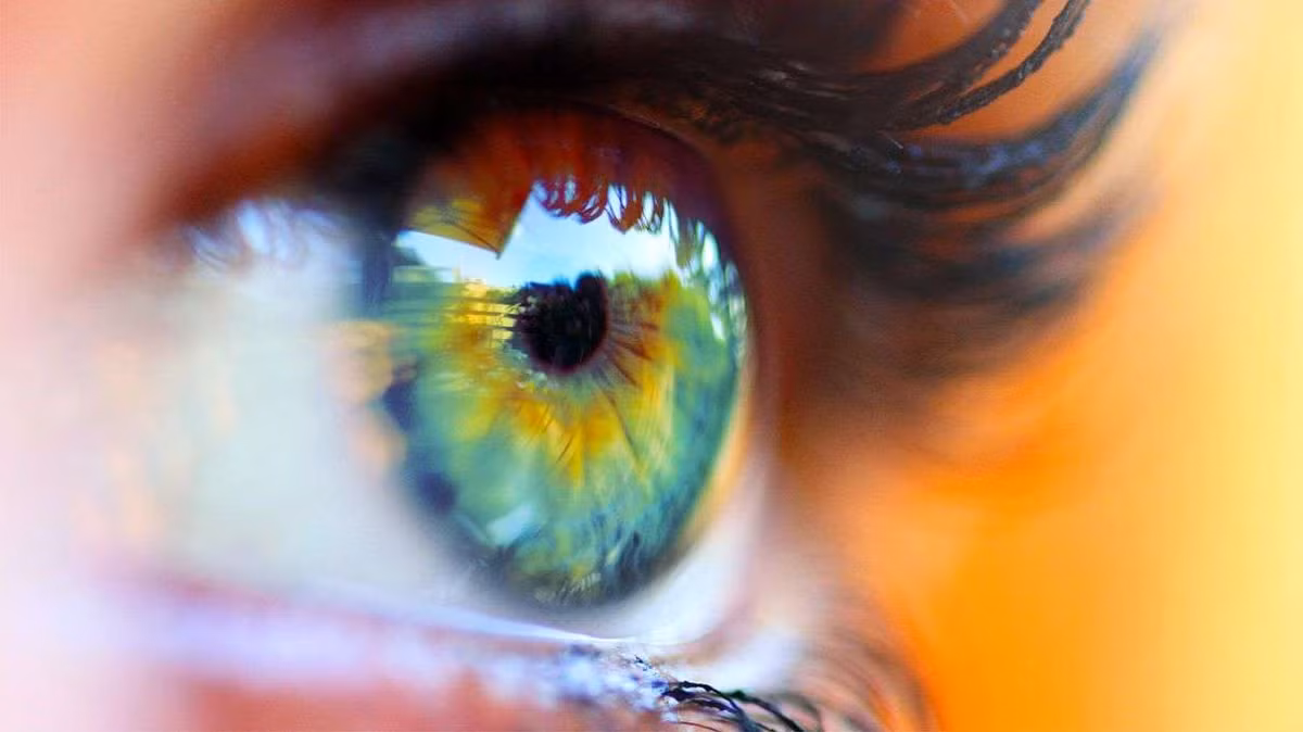 Những người sở hữu đôi mắt "siêu nhân" trên mắc hội chứng thị giác 4 màu (tetrachromacy). Nhờ vào một biến dị gene gây ảnh hưởng tới sự phát triển võng mạc, một số người (chủ yếu là phụ nữ) có thể nhìn thấy các màu sắc vô hình trước nhiều đôi mắt bình thường khác.