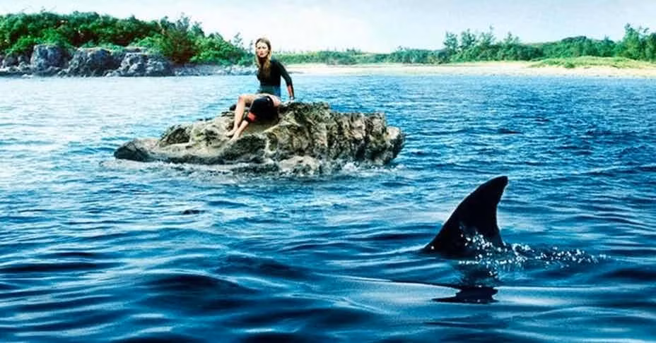 Tỷ lệ tử vong do bị cá mập tấn công là 1/264 triệu người. Theo một số tài liệu, trong 58 năm qua, thế giới ghi nhận 2.899 vụ cá mập tấn công con người, với 548 trường hợp tử vong. Theo đó, khoảng 50 vụ xảy ra mỗi năm, với khoảng 78 người chết.