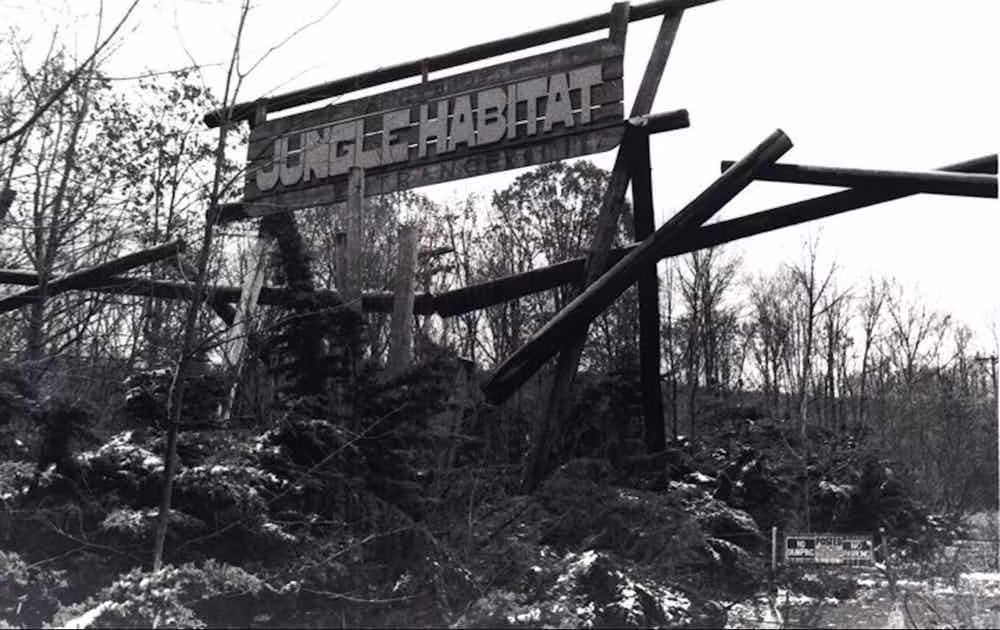 Khi bạn ném một đồng xu xuống nước, hồn ma bé trai chết đuối trên sẽ ném nó trở lại cho bạn.