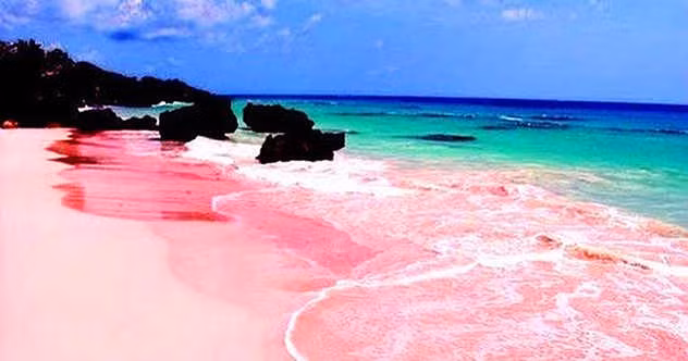 Bãi biển cát hồng ở Bermuda là một kỳ quan thế giới có màu hồng hiếm gặp trên Trái đất. Theo các chuyên gia, màu hồng trên bãi biển cát hồng xuất phát từ một loài sinh vật nguyên sinh amip có vỏ màu hồng.