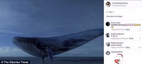 “Tro choi sinh tu” khien hang tram thanh thieu nien tu sat-Hinh-3