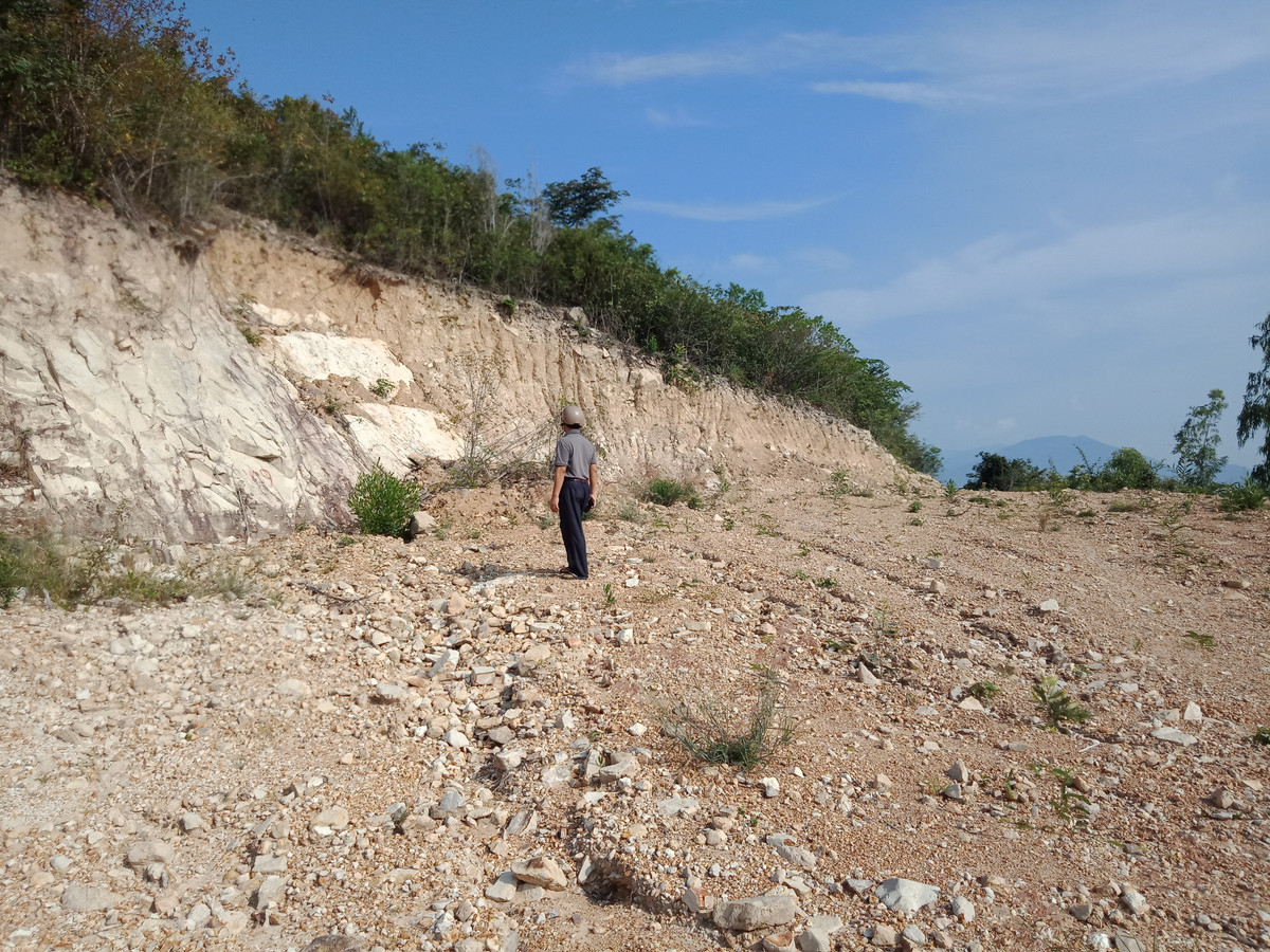 Lam Dong: Soi ho so Cty Tam Chau tu y chuyen doi muc dich hon 10 ha dat trai phep-Hinh-2